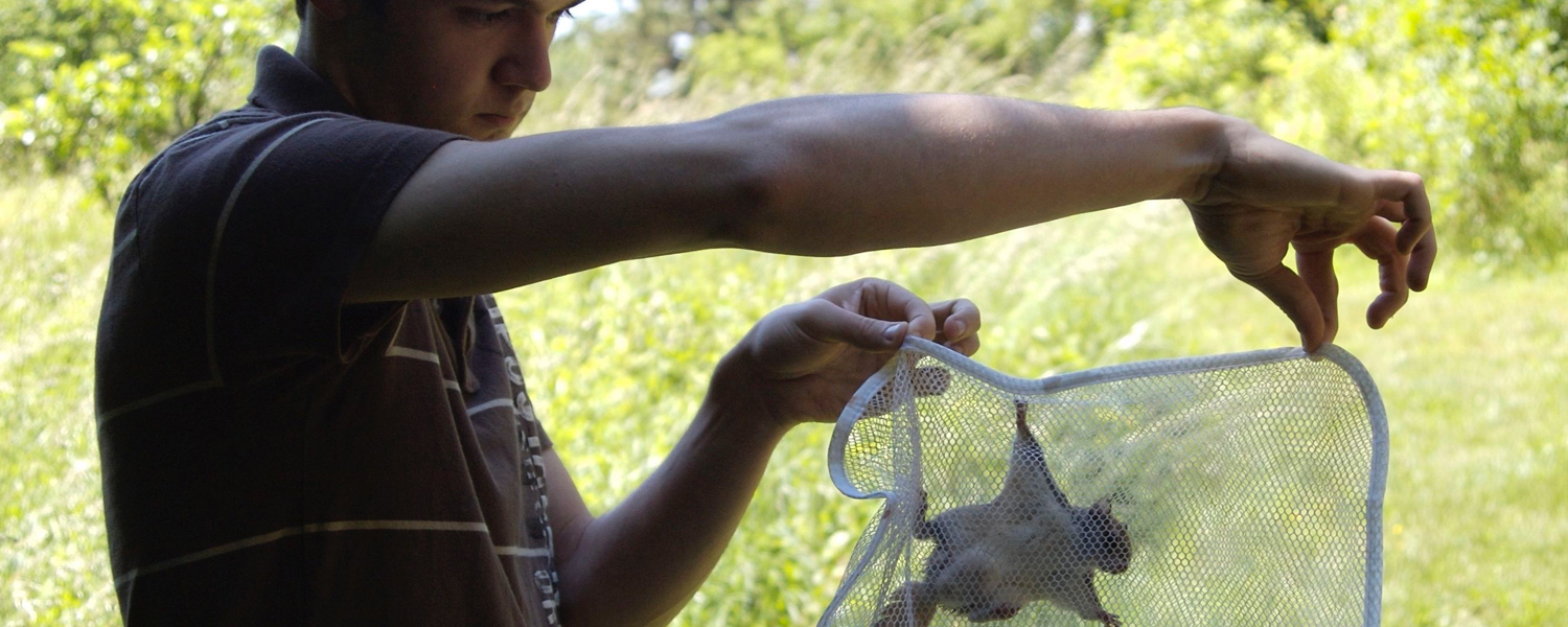 Catching a flying squirrel