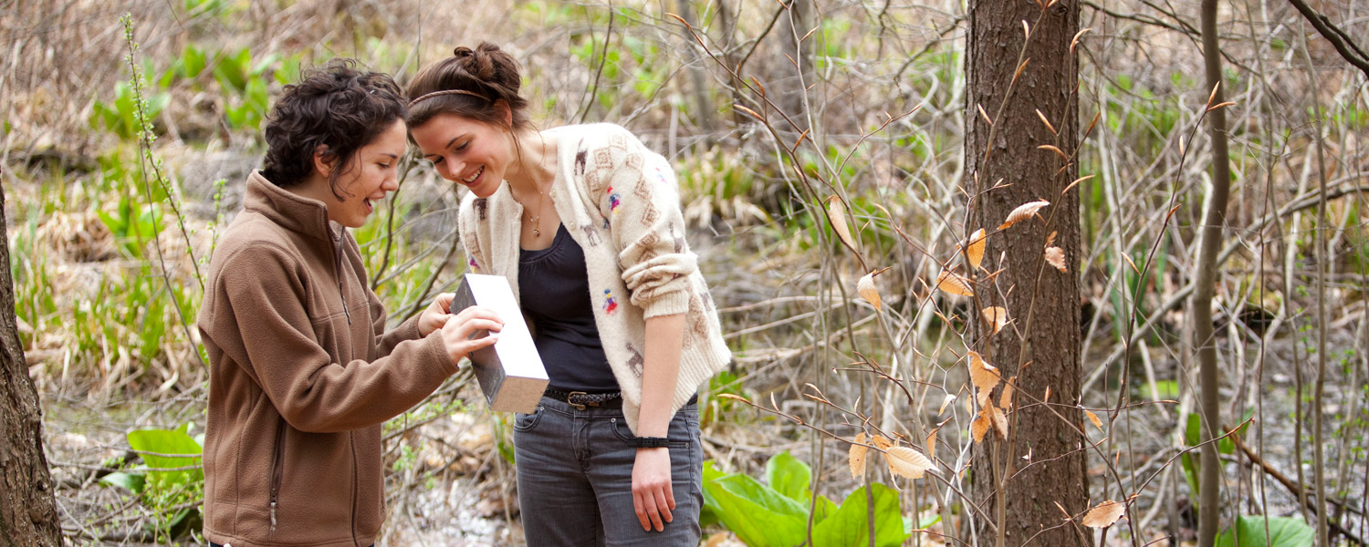 environmental studies students inspecting animal trap in forest