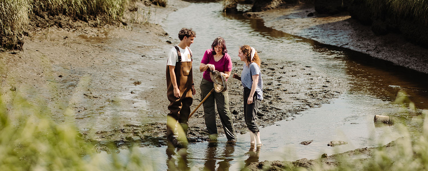 an ecology and conservation professor from Gordon College outside in a conservation area with students in the Essex Marsh