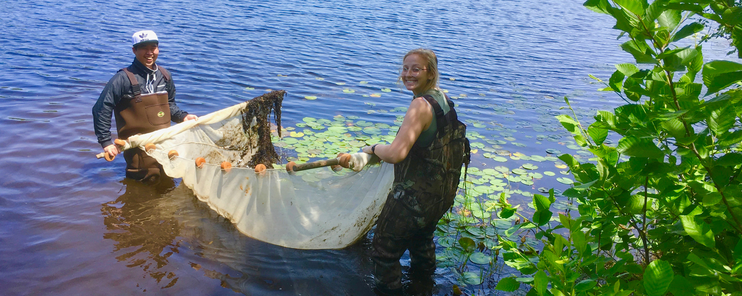 Catching fish in Gull Pond