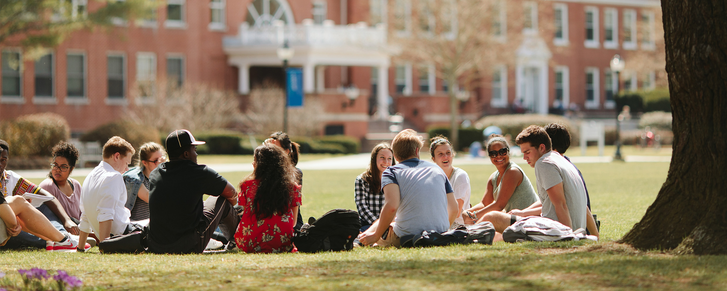 Ministry, Bible & Theology students sitting in a circle on the grass outside of the library