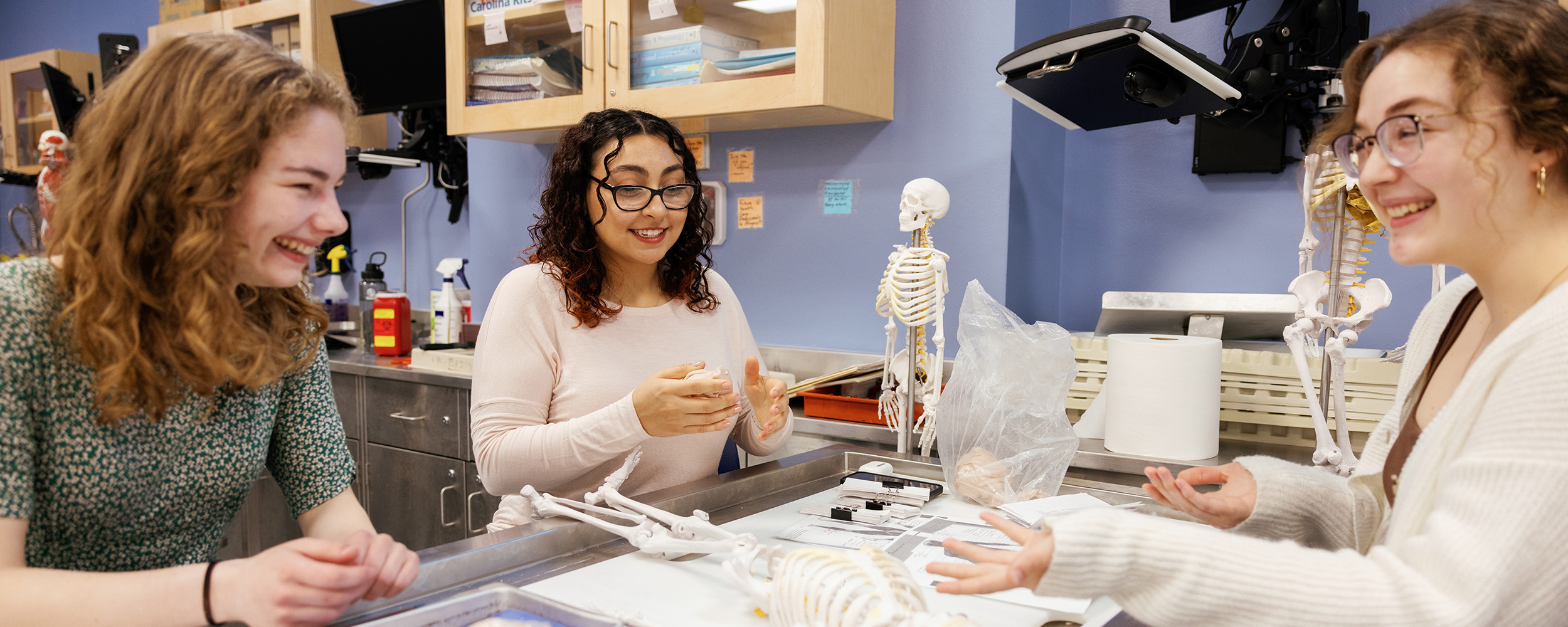 Anatomy lab class