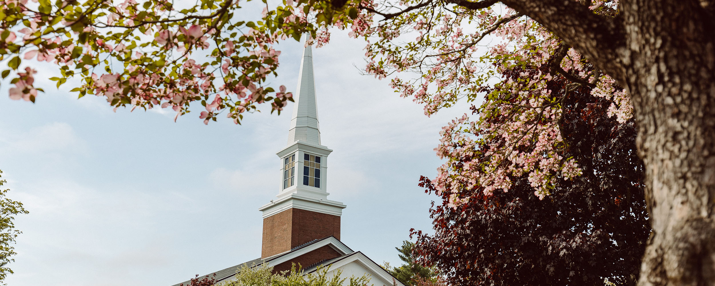 Gordons chapel seen through blooming tree