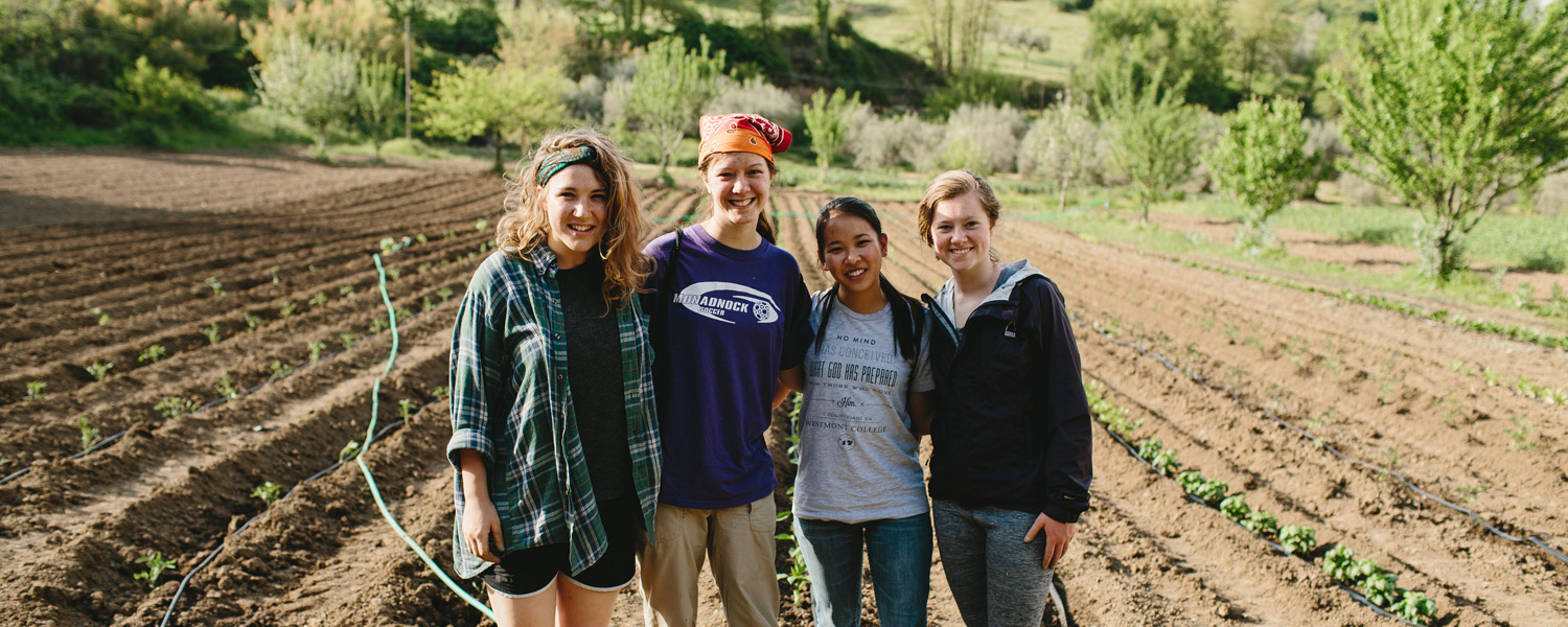 Students working on farm