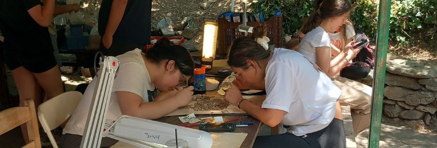 Students searching for artifacts