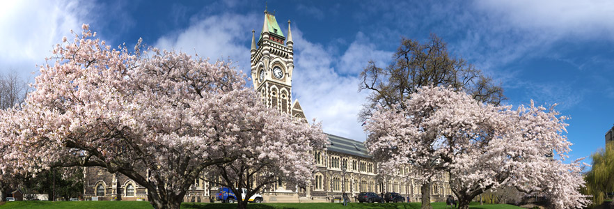 University of Otago