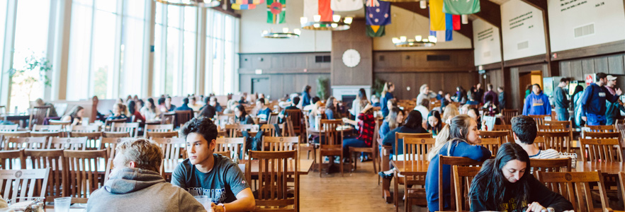 Students eating lunch