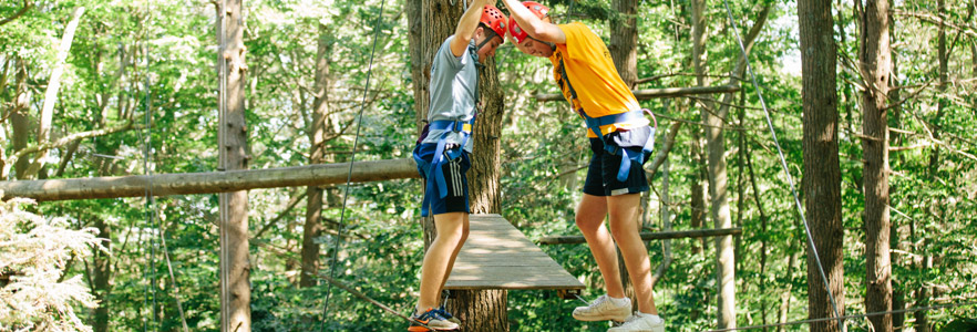 High ropes element