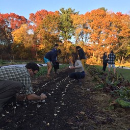 Sustainable Farming