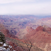 Light in the Canyon