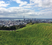 Auckland skyline