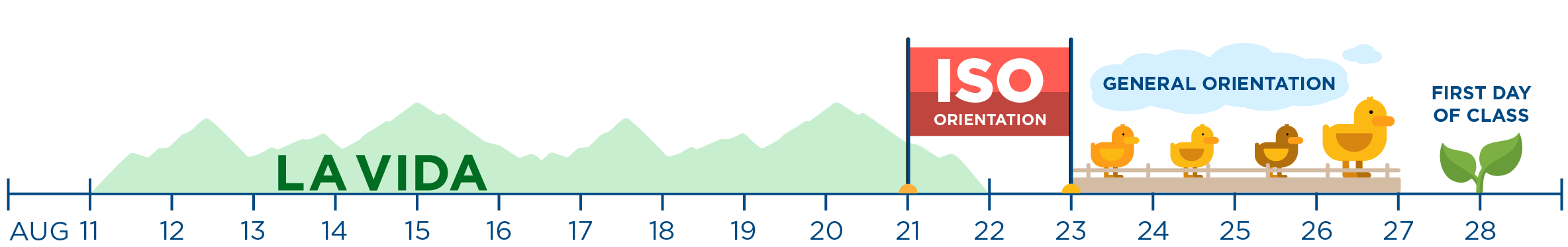 Timeline of orientation options