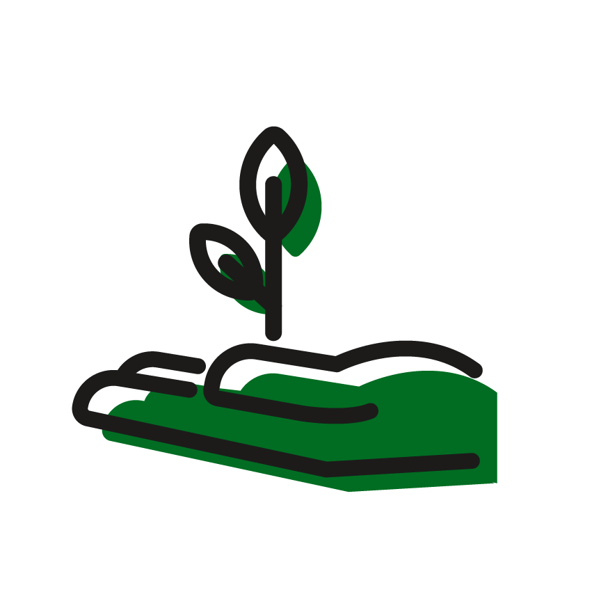 plant icon