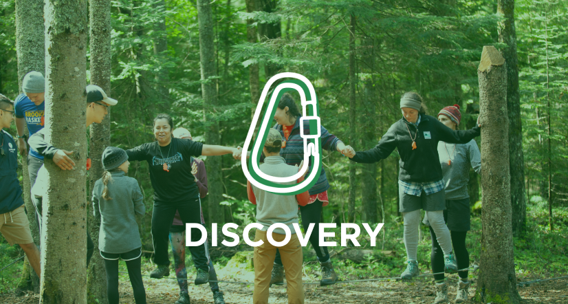 Learn more about the Discovery Course